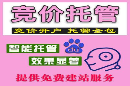 竞价开户策略：成功案例解读